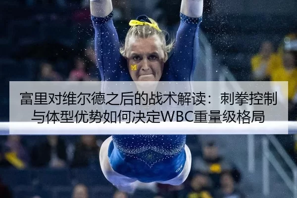 富里对维尔德之后的战术解读：刺拳控制与体型优势如何决定WBC重量级格局