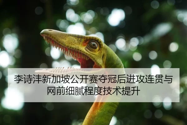 李诗沣新加坡公开赛夺冠后进攻连贯与网前细腻程度技术提升